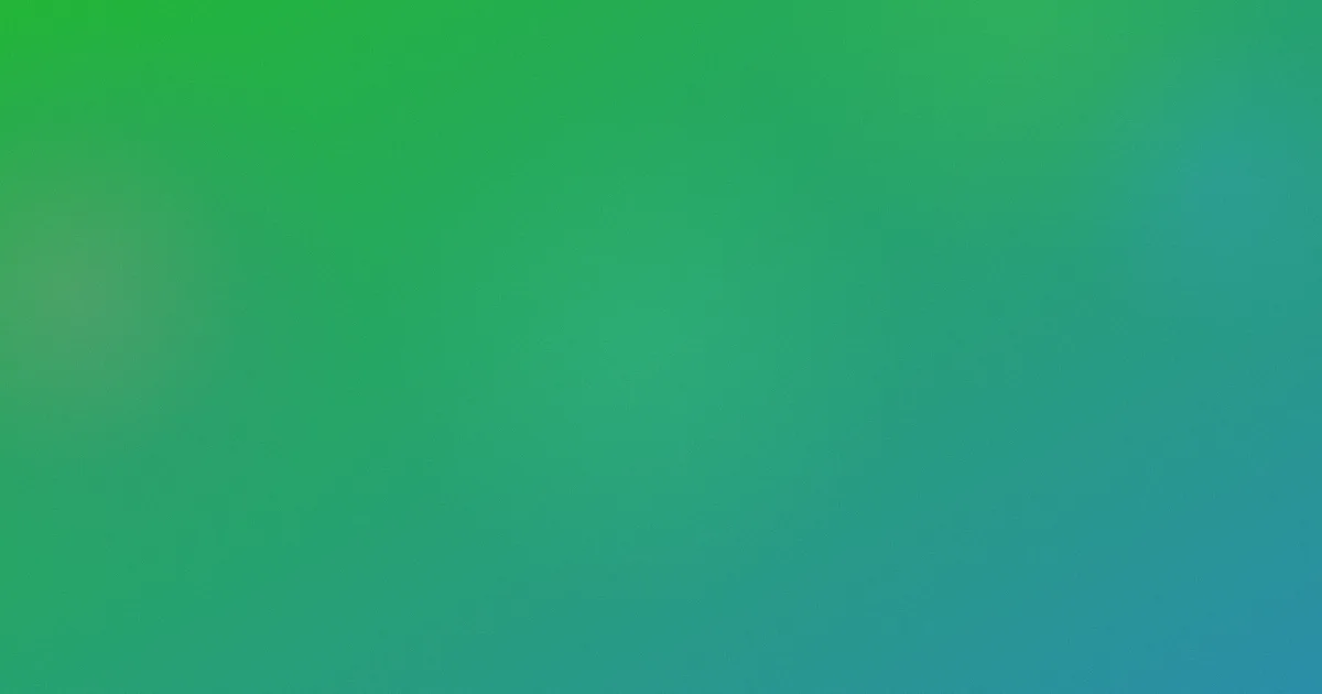 我妻子的一切避坑解析